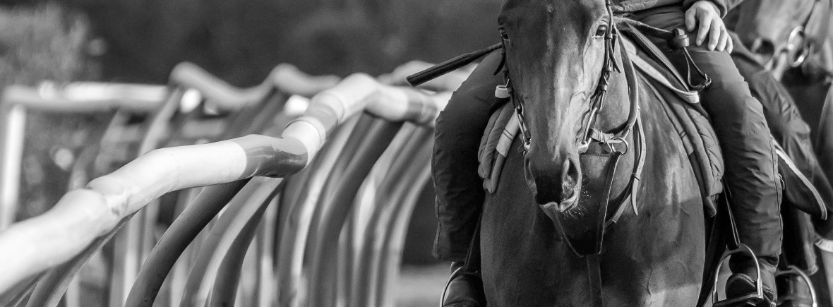 Frankie Naylor Sports Therapy