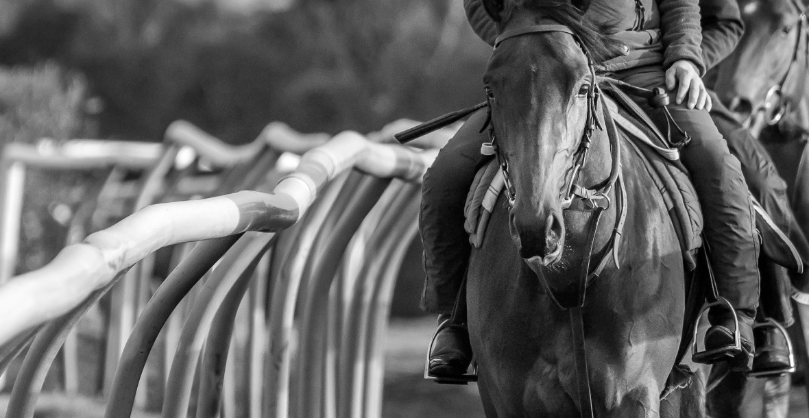 Frankie Naylor Sports Therapy