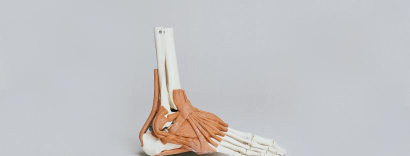 Frankie Naylor Sports Therapy